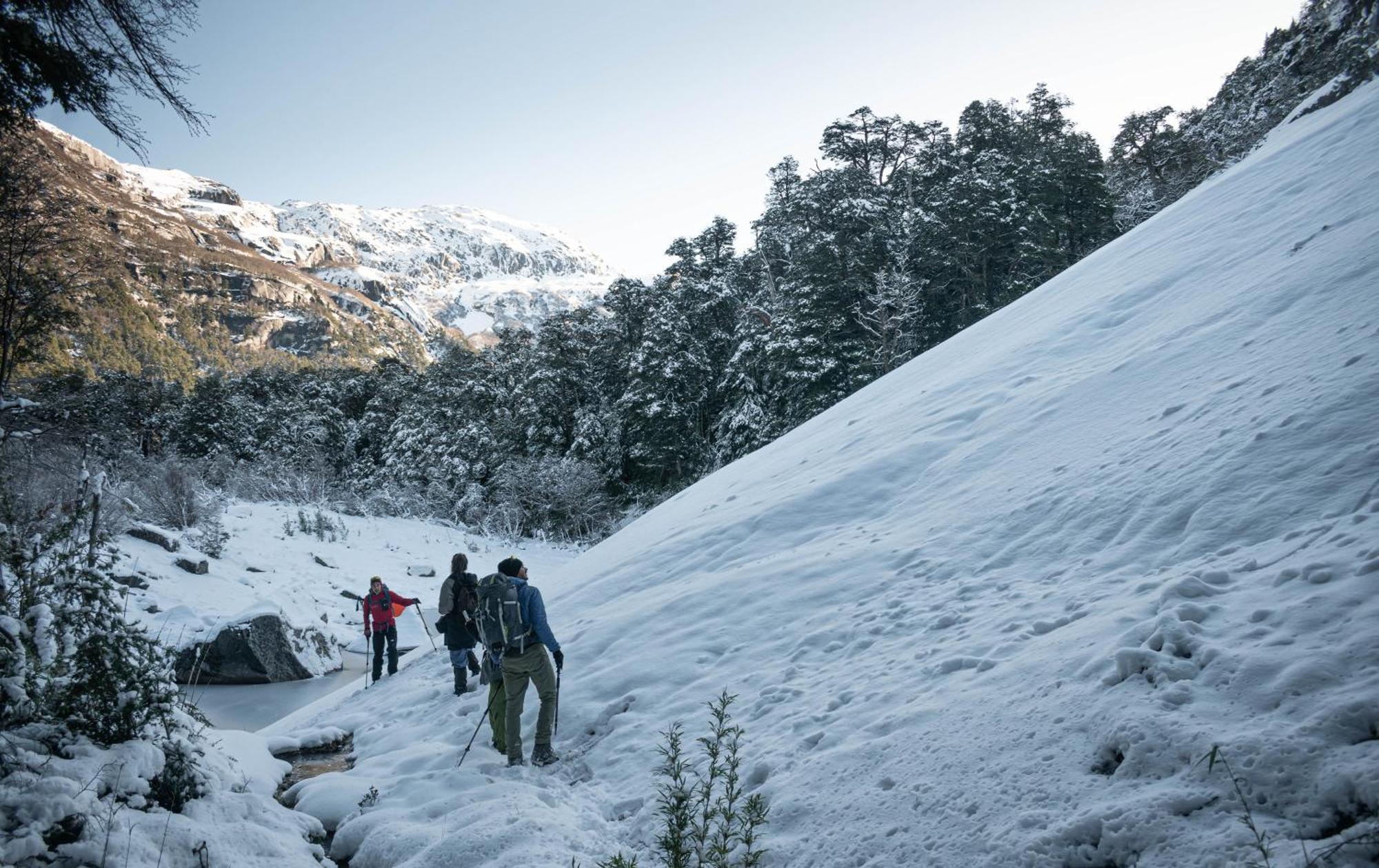 Indomito Hostel San Carlos de Bariloche Ngoại thất bức ảnh